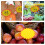 300 Grote Wisbare Tag 7,00x5,00x0,10 Cm 6