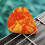 3 Sets Gitarrensticker Mit Plektren Und Schildpapier Einfach 11