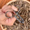Nut Opener Cracker Pliers - Heavy Duty Nut Shell Cracker For Pecans And Walnuts, Seafood Scissor-Style Tool 4