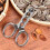 Nut Opener Cracker Pliers - Heavy Duty Nut Shell Cracker For Pecans And Walnuts, Seafood Scissor-Style Tool 2