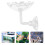 Futterteller Für Garnelen Kleines Aquarium Schale Transparent 5