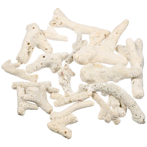 2Stk. 3-10 Cm 500 G Aquarium Filtersteine