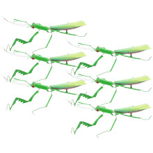 30 Mantis Insektenmodell Desktop Simulation Ornament