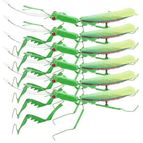 30 Mantis Insektenmodell Desktop Simulation Ornament 2