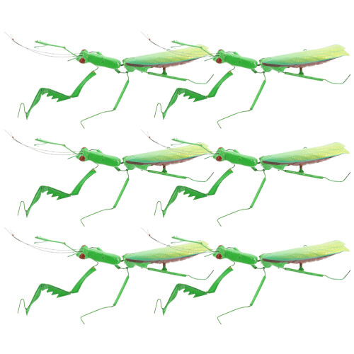 30 Mantis Insektenmodell Desktop Simulation Ornament 1