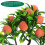 3Stk. Künstlicher Bonsai Topf Dekorative 7