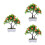 3Stk. Künstlicher Bonsai Topf Dekorative 11