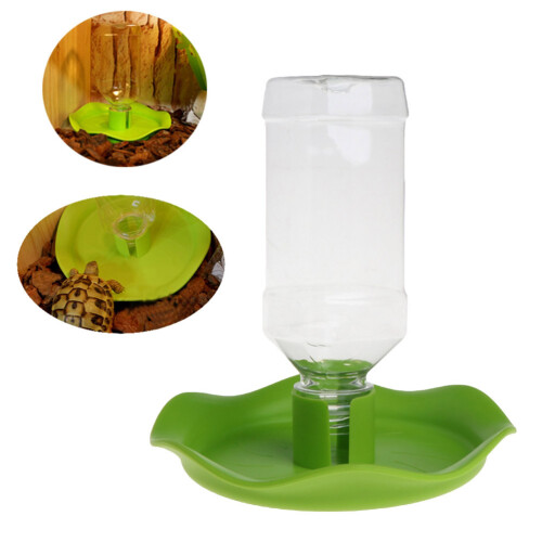 Gecko Wasserspender 2Set Grün Für Tierhalter 1