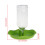 Gecko Wasserspender 2Set Grün Für Tierhalter 3