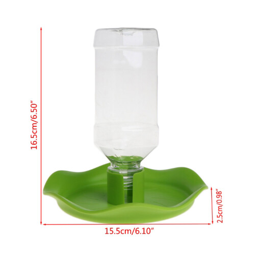 Gecko Wasserspender 2Set Grün Für Tierhalter 2
