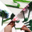 Raindrops 54er Pack -Papierband Für Party- Und 10