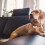 Pet Tags Hondennaam Been 3 11