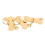 Pet Tags Hondennaam Been 3 8