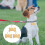 Pet Tags Hondennaam Been 3 6