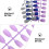 Fake Nail Tips Lavendel 72 Sargform 10