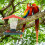 Cute Vogelfutterhaus, Sortierte , 1 Set 8