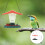 Cute Vogelfutterhaus, Sortierte , 1 Set 5