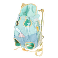Pet Carrier Backpack Foldable Cat Travel Backpack With Ventilated Mesh Breathable And Secure Zippers For Small Pets
