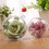 10pcs Clear Fillable Plastic Baubles For Diy Crafts 3