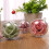 10pcs Clear Fillable Plastic Baubles For Diy Crafts 5