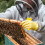 Bee Hive Frame Spacer Tools Für Imkeraufgaben Eisen Rot 2 4