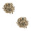 2St Aquarium Filtermaterial Korallen 5