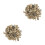 2St Aquarium Filtermaterial Korallen 6