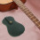 Guitar Pick Organizer, Pickhalter, Gig Plectrum Koffer 6