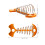 5 Stk. Cord Regenplane Camping Plane 2