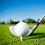 3 Sets Golfs Trainings-Tee- Golfs-Tee-Halter Tee-Organizer 9