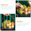 Box Dessert Tablett Zubehör Kunststoff 10