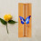 Butterfly Mounting Board Specimen Display Board 1pack 5