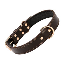 Masteelf Hundehalsband Mit Namensschild Xs Attraktives Haustier