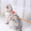 1 Set Katzenleine Geschirr Polyester Cartoon 10