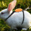 Rabbit Traction Rope Comfortable Soft Cloth For Pet Activities 10