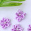 Cloth Blumenaccessoires Violett 50 9