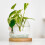Vase Decor Füllung Gelbe Flache Glasperlen 4