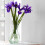 Vase Decor Füllung Gelbe Flache Glasperlen 5