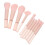 Cosmetics Supply Rosa Nylon 1 Satz 9