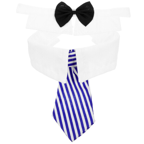 Hundehalsband Verstellbar Polyester 2
