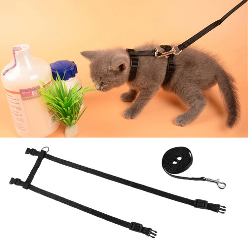 Everyday Walk Für Katzen Polyester 1 Set 1