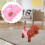 Dog Physiological Pants Haustier Welpen 4