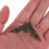 12St Ecken Möbel Kantenschutz Olivgrün Eisen 7