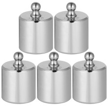 5St -Gewichte 100G Silberstahl Für Waagen-Tools
