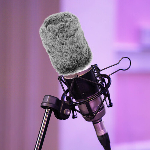 Furry Mic Protector Für Tanzparty Schwarz 1 Stk 2