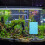 Automatic Fish Feeder Für Aquarium Laichplatte Himmelblau 1Set 3