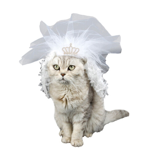 Pet Hochzeitskostüm 1 Set Weiß