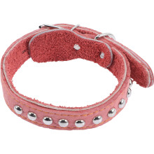 Pet Halsband Für Kleine