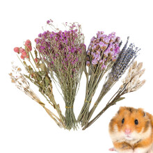 Hamster Bedding Dried Flower For Hamsters - Small Animal Habitat Decor, Natural Flower Cage Decoration, For Gerbils