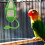 Bird Bowl Bunt 1 Set 10